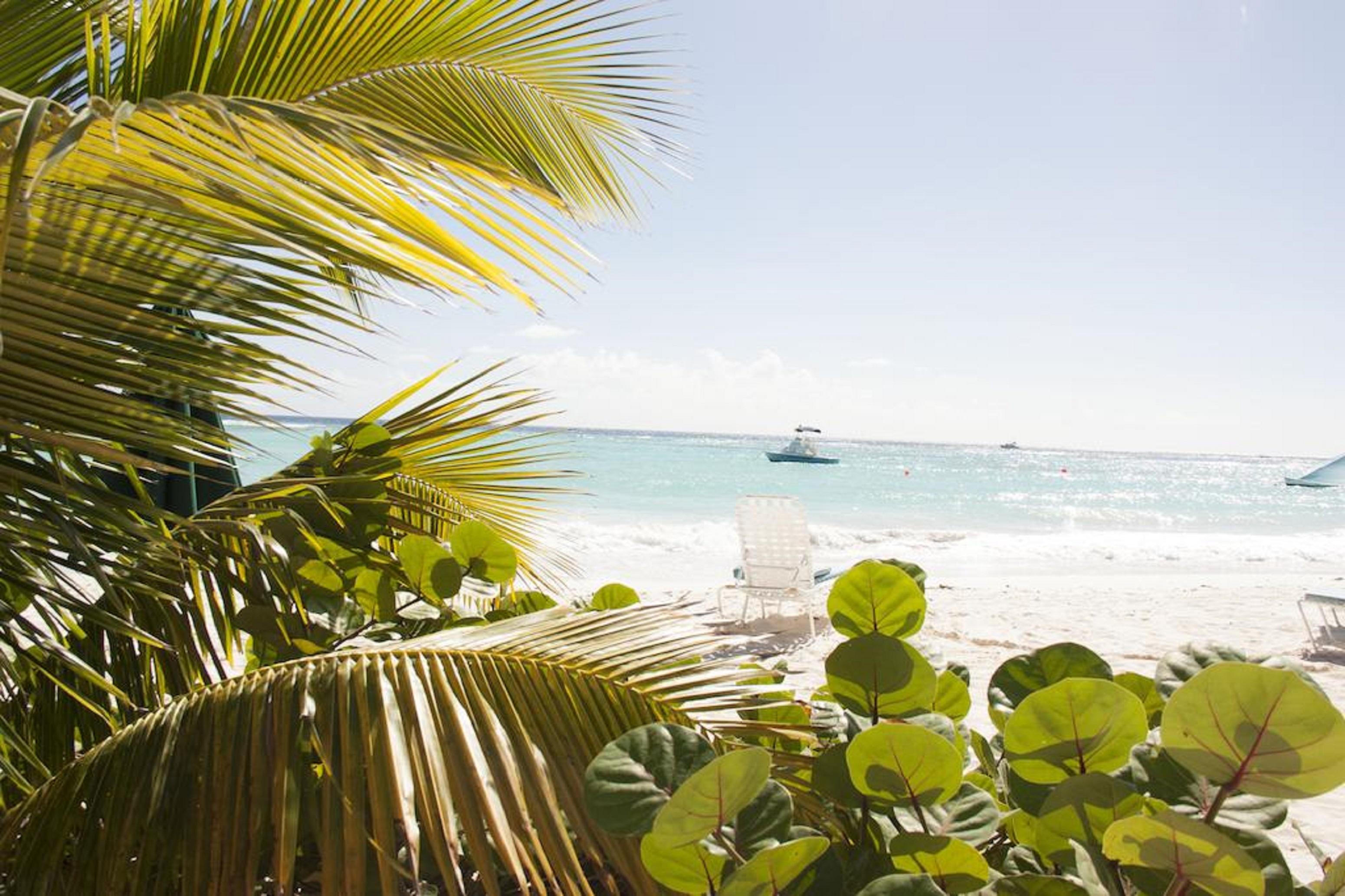 Palm Garden Hotel Barbados Bridgetown Kültér fotó